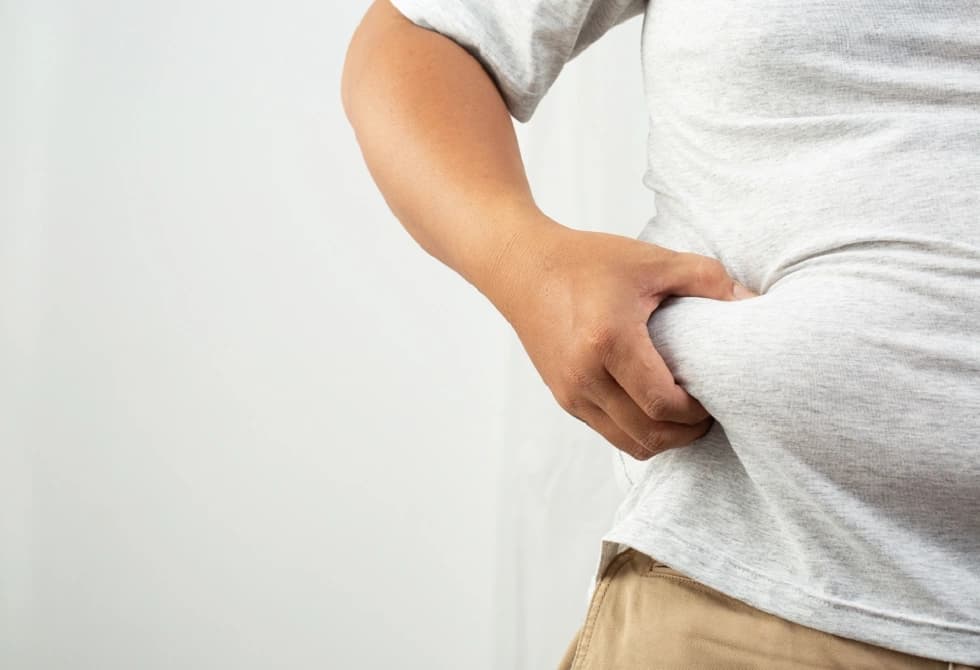 دور إيجابي غير متوقع لدهون البطن