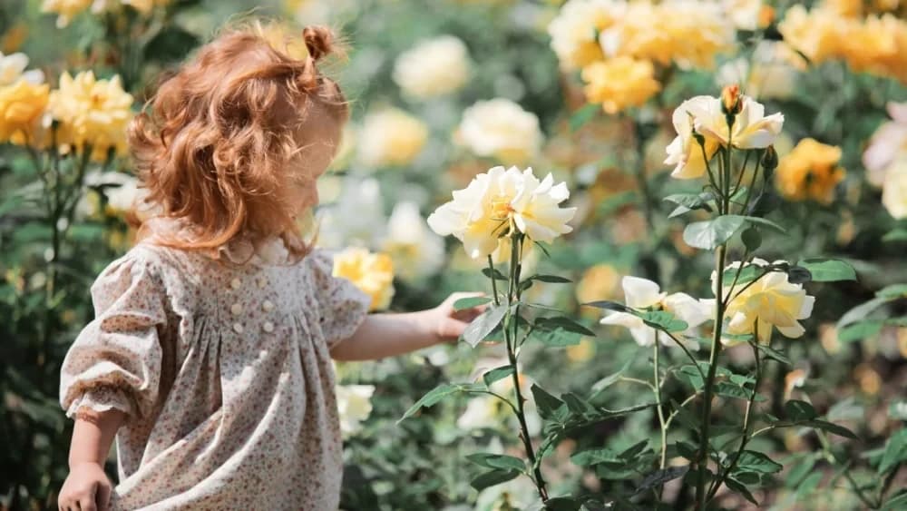 اكتشاف الخلايا المسؤولة عن فقدان ذاكرة الطفولة